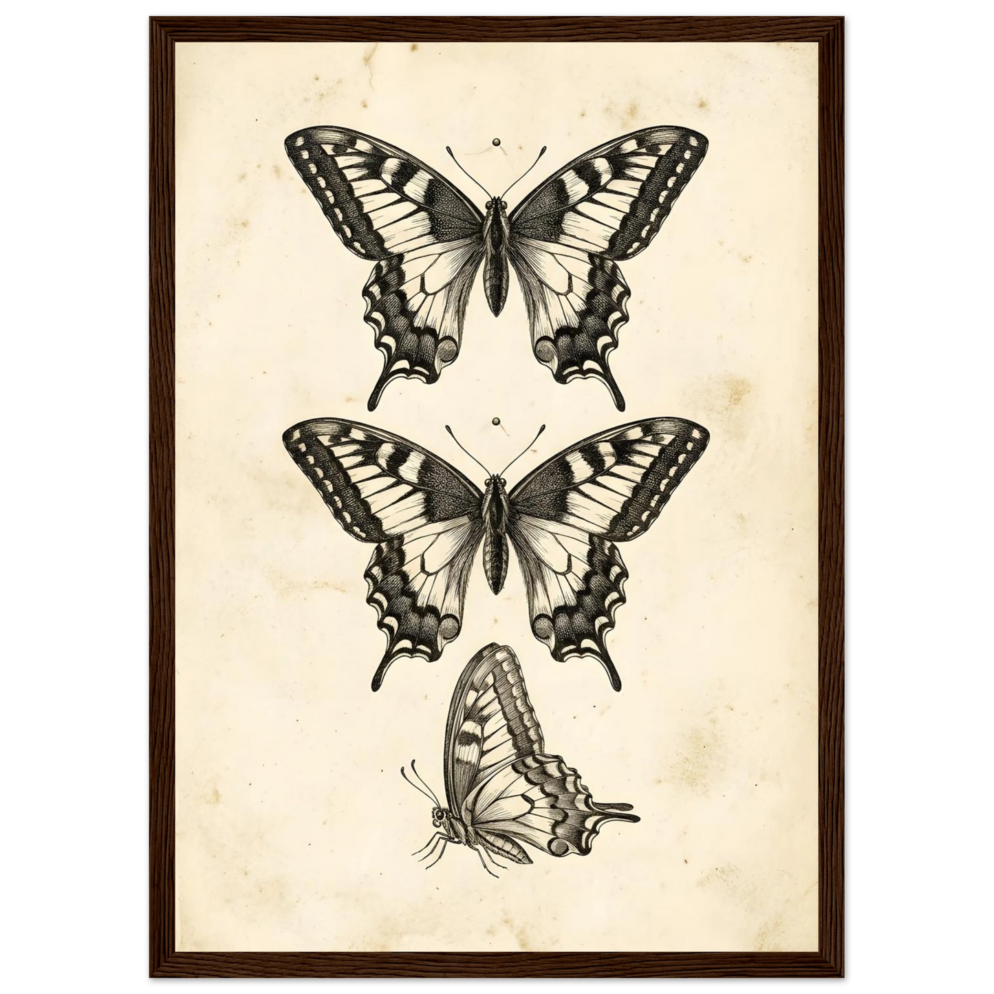 65e71fe9-bb80-4d19-acbf-60af0a2d8c48