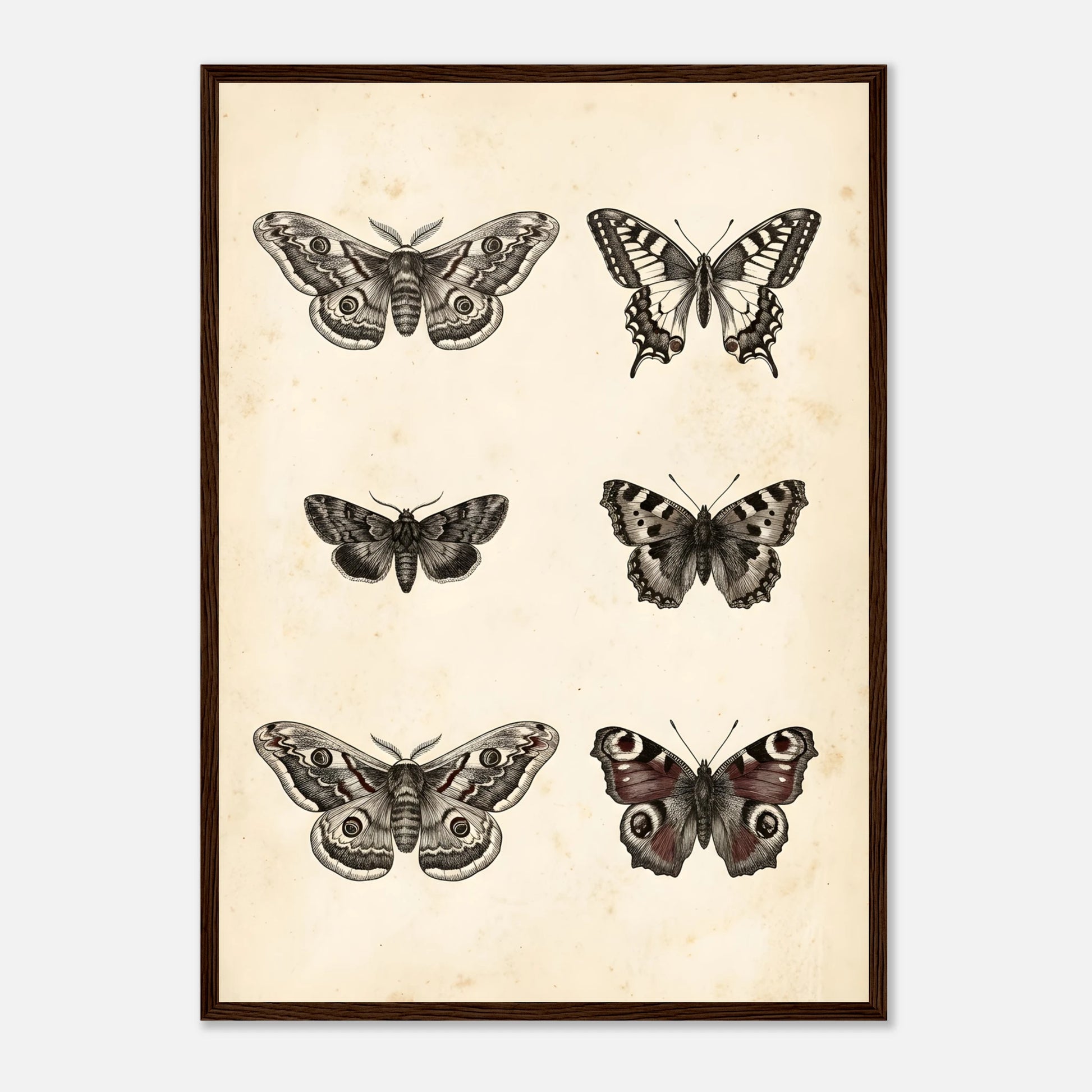 b22b4e44-5012-43a1-8a52-c824401c2b6f